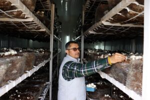 आशीष गौतम, गांव चमोडा, तहसील पच्छाद जिला सिरमौ