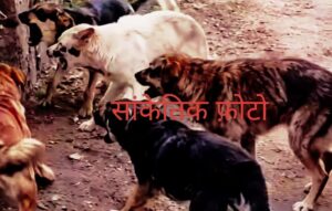 सांकेतिक फोटो